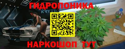амф Краснознаменск