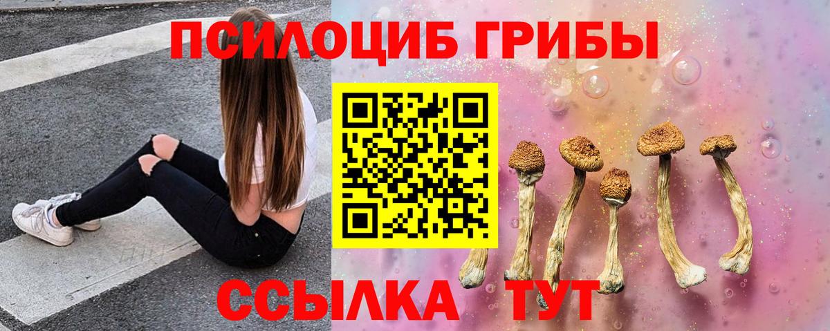Красногорск  Галлюциногенные грибы Magic Shrooms  Вход с VPN 