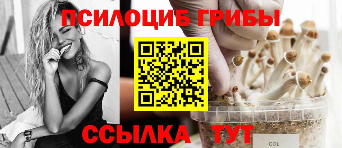 Галлюциногенные грибы мицелий Красногорск