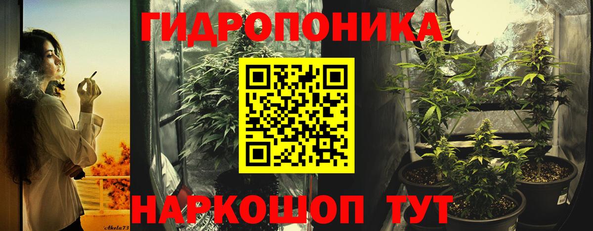 Шишки марихуана тримм  Вход с VPN  Марихуана конопля  Шишки марихуана White Widow  Бошки Шишки ГИДРОПОН  Красногорск 